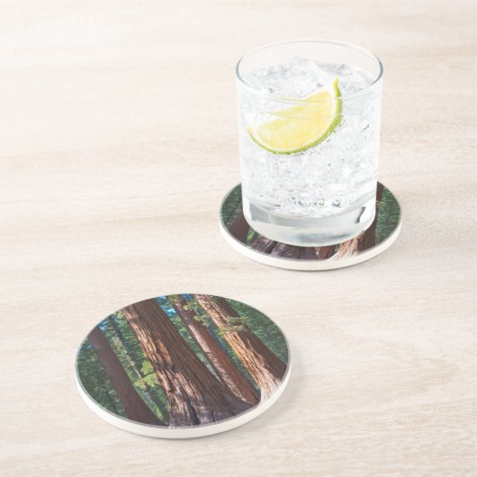 カリフォルニア州アメリカマリポサ,セコイアの木の幹 コースター (側面)