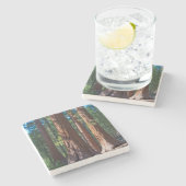 カリフォルニア州アメリカマリポサ，セコイアの木の幹 ストーンコースター (横)