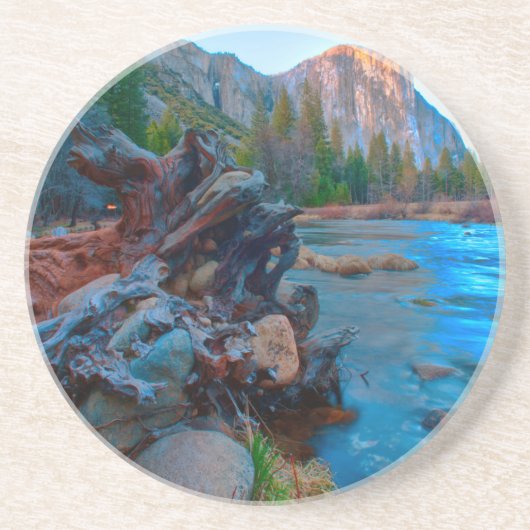 カリフォルニア州アメリカマーセド川の木の根 コースター (正面)