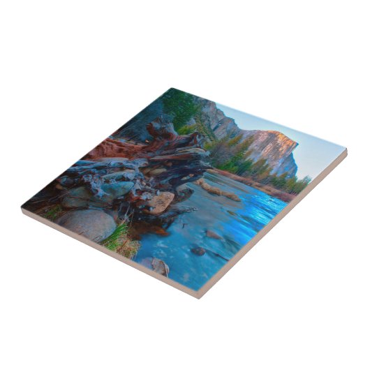 カリフォルニア州アメリカマーセド川の木の根 タイル (側面)