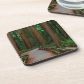 カリフォルニア州アメリカミュアのセコイアの間の道 コースター (左側)