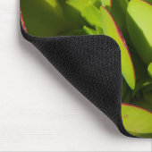 カリフォルニア州アメリカ巨大ロベリア工場が閉鎖 マウスパッド (コーナー)