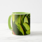 カリフォルニア州アメリカ巨大ロベリア工場が閉鎖 マグカップ (正面左)