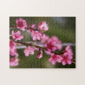 カリフォルニア州アメリカ桃色の開花が木の上にある ジグソーパズル (横)