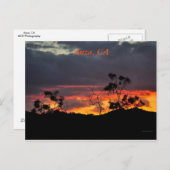 カリフォルニア州アンザの夕日 ポストカード (正面/裏面)