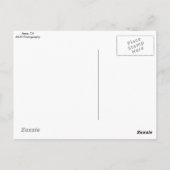 カリフォルニア州アンザの夕日 ポストカード (裏面)