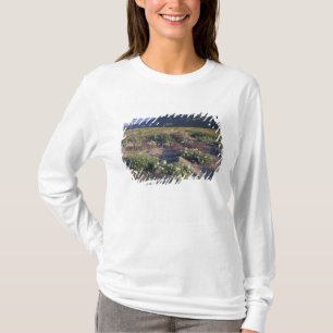 カリフォルニア州アンザ・ボレゴ砂漠州立公園の砂 Tシャツ