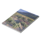 カリフォルニア州アンザ・ボレゴ砂漠SP，砂 ノートパッド (回転)