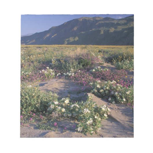 カリフォルニア州アンザ・ボレゴ砂漠SP，砂 ノートパッド (正面)