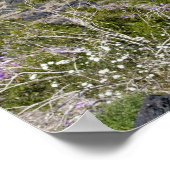 カリフォルニア州アンボーイクレーターにある砂のヴェルベナ&砂漠金ゴールド、 ポスター (角)