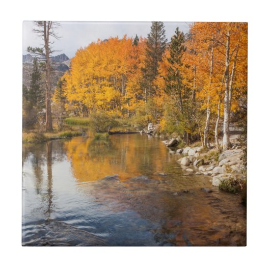 カリフォルニア州イースタンシエラ、ビショップクリーク、アウトレット タイル (正面)