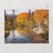 カリフォルニア州イースタンシエラ、ビショップクリーク、アウトレット ポストカード (正面)