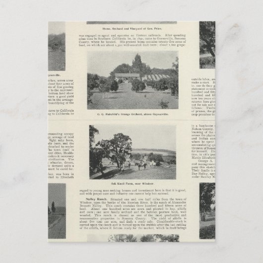 カリフォルニア州ウィンザー ポストカード (正面)