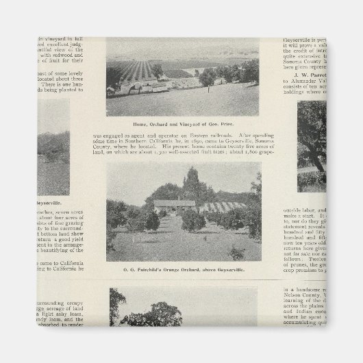 カリフォルニア州ウィンザー マグネット (正面)