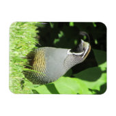 カリフォルニア州ウズイルインサンシャインマグネット マグネット (横)