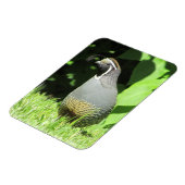 カリフォルニア州ウズイルインサンシャインマグネット マグネット (左側)