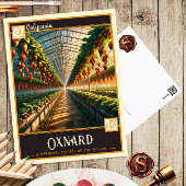 カリフォルニア州オクナード |ヴィンテージはがき ポストカード