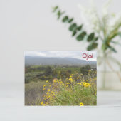 カリフォルニア州オジャイバレー ポストカード (スタンド正面)