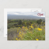 カリフォルニア州オジャイバレー ポストカード (正面/裏面)