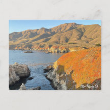 カリフォルニア州オッターレフュージュメント