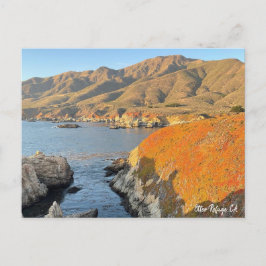 カリフォルニア州オッターレフュージュメント ポストカード