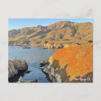 カリフォルニア州オッターレフュージュメント ポストカード