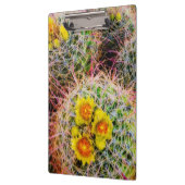 カリフォルニア州カクタス·クローズアップ クリップボード (左)