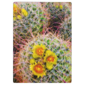 カリフォルニア州カクタス·クローズアップ クリップボード (裏面)