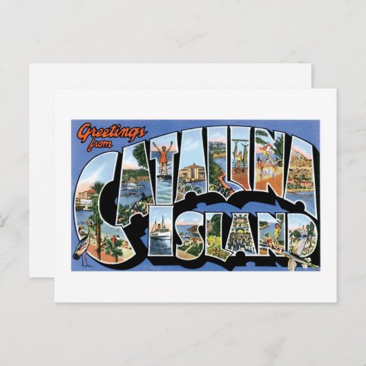 カリフォルニア州カタリナ島からの挨拶レトロ ポストカード (正面/裏面)