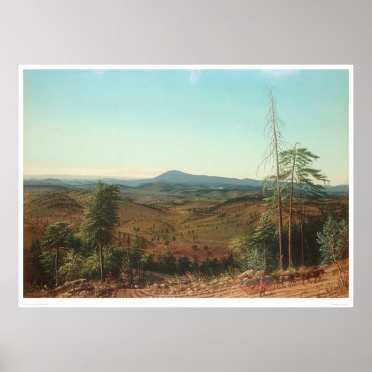 カリフォルニア州カラベラス郡モケルムンヒル(0133A) ポスター (正面)