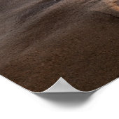 カリフォルニア州カリフォルニア州ビーチで波打ち ポスター (角)