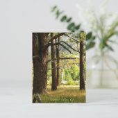 カリフォルニア州ガーナーバレーの風光明媚なトレイルのポストカード ポストカード (スタンド正面)