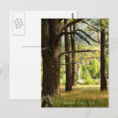 カリフォルニア州ガーナーバレーの風光明媚なトレイルのポストカード ポストカード (正面/裏面)