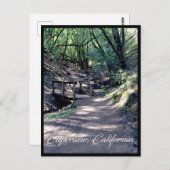 カリフォルニア州クペルティーノのランチョにある橋 ポストカード (正面/裏面)