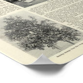 カリフォルニア州クローバーデール ポスター (角)