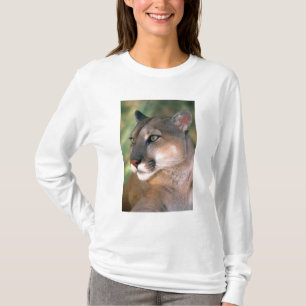 カリフォルニア州クーガー Tシャツ