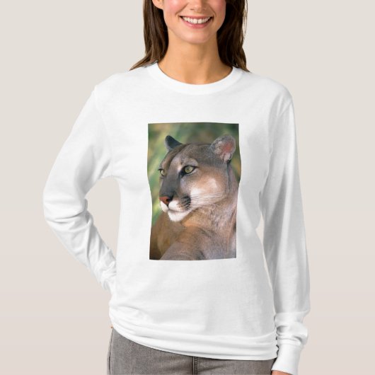 カリフォルニア州クーガー Tシャツ (正面)