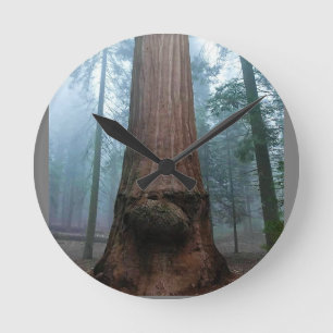 カリフォルニア州グラントグローブのジャイアントセコイアツリー ラウンド壁時計
