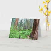 カリフォルニア州グラントグローブのジャイアントセコイア カード (黄色い花)