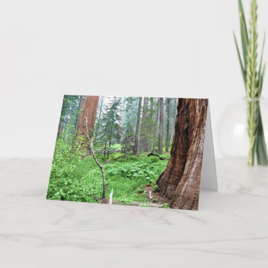 カリフォルニア州グラントグローブのジャイアントセコイア カード (正面)