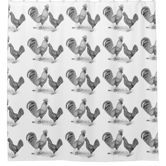 カリフォルニア州グレーの雄鶏とメーン シャワーカーテン (正面)