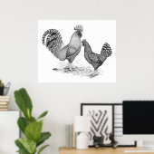 カリフォルニア州グレーの雄鶏とメーン ポスター (ホームオフィス)