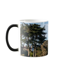 カリフォルニア州ゴールデンゲートブリッジ