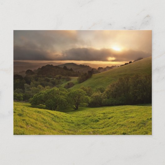 カリフォルニア州ゴールデンフォギーの夕日 ポストカード (正面)