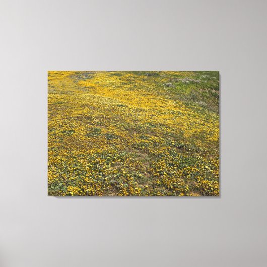 カリフォルニア州ゴールドフィールド キャンバスプリント (正面)