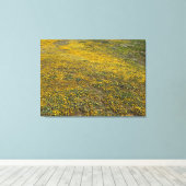 カリフォルニア州ゴールドフィールド キャンバスプリント (インサイチュ (ウッドフロア))