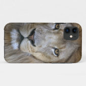 カリフォルニア州サクラメント動物園の成獣の雄ライオン Case-Mate iPhoneケース (裏面(横))