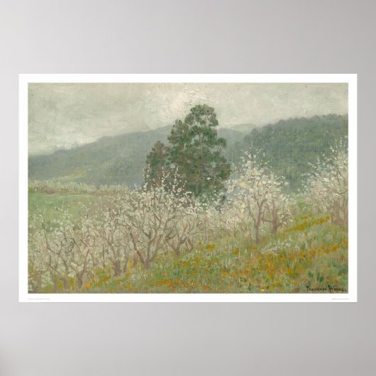 カリフォルニア州サラトガのプルーンオーチャード(1170) ポスター (正面)