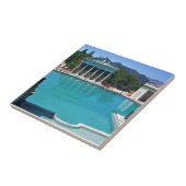 カリフォルニア州サンシメオン、ハースト城の海王星プール タイル (側面)