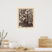 カリフォルニア州サンタクルーズ，ヘンリー・コーウェル・パーク1903 ポスター (キッチン)